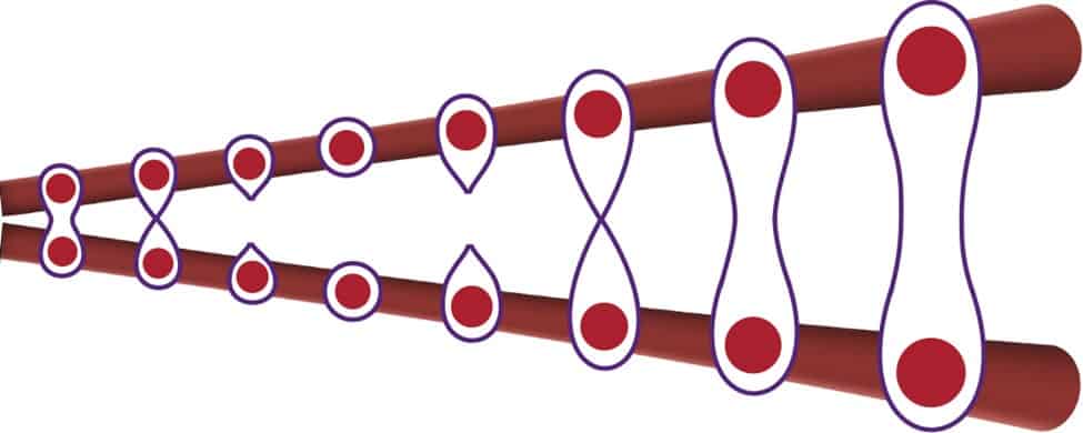 Revived-photon-entanglement-could-enhance-quantum-communication-and-imaging